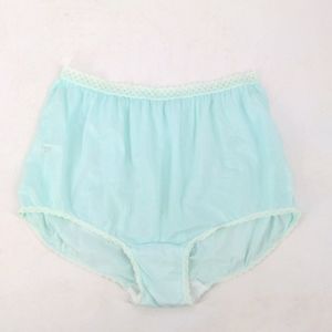 VTG Carole Semi Sheer Granny Panties Nylon Mushroom Wide Gusset Lace Waist 11